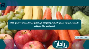 «أسعار اليوم» سعر الخضار والفواكه في المنوفية الأربعاء 14 مايو 2025 الطماطم بـ10 جنيهات